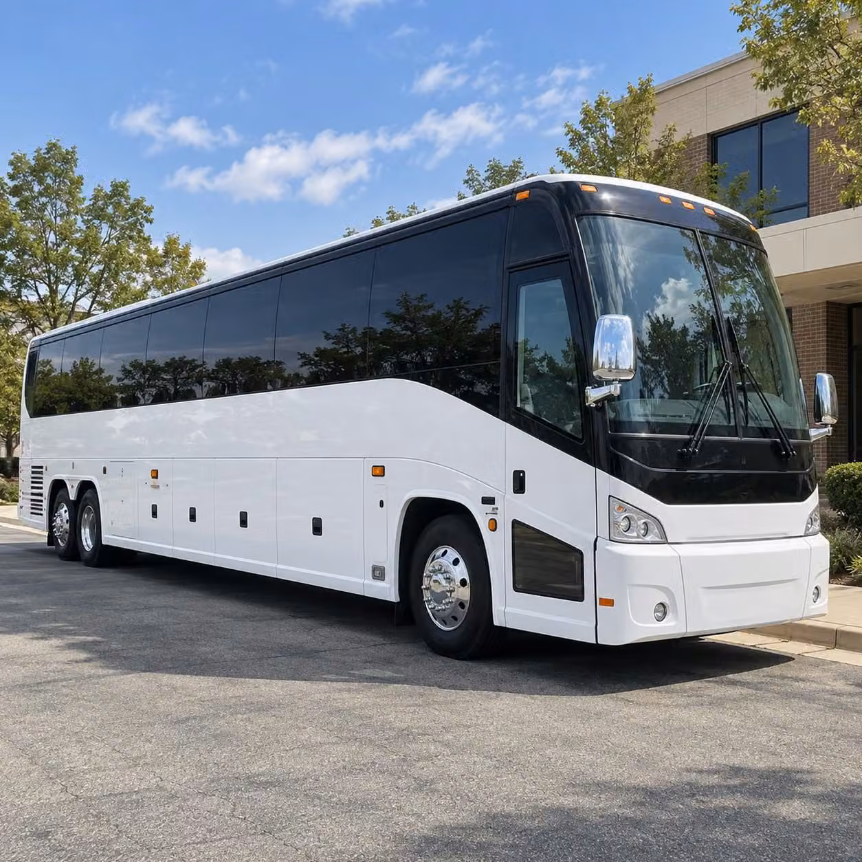 coachbussandiego com is ready to help you book san diego bachelorette and birthday party bus rentals
